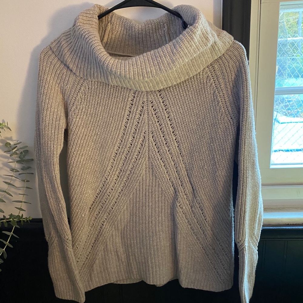 Ann Taylor turtle neck heavy sweater 🥶